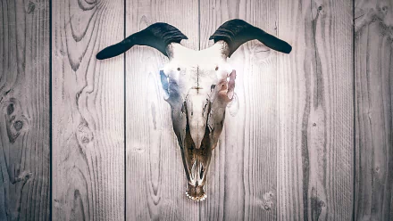 Dark wood background featuring a detailed animal skull with prominent curved horns, showcased as an HD PC desktop wallpaper and background.