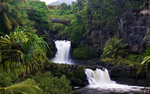 rainforest tropical bridge nature waterfall HD Desktop Wallpaper | Background Image