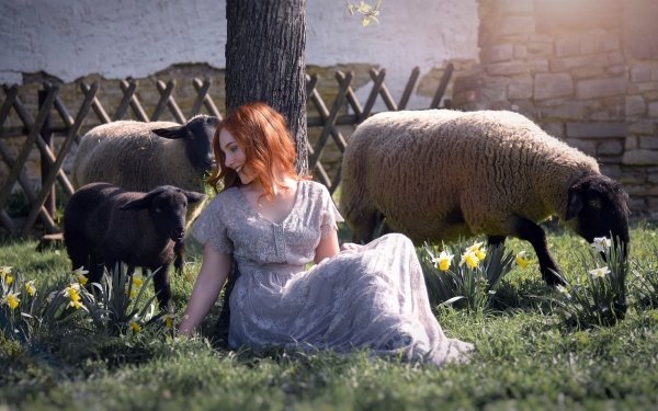 Women Mood Model Redhead Dress Smile Daffodil Sheep HD Wallpaper | Background Image