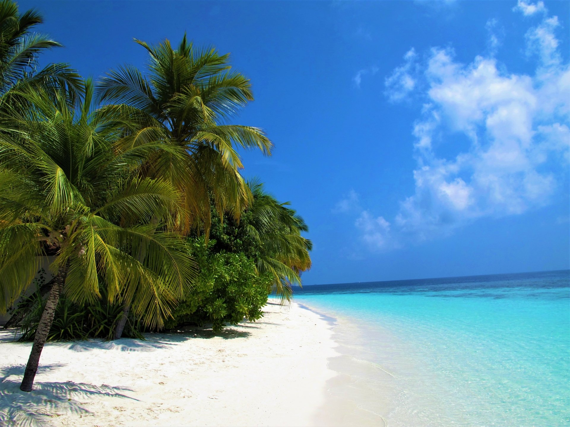 HD desktop wallpaper of a tropical Maldives beach with white sand, clear turquoise sea, lush palm trees, and a bright blue sky with scattered clouds.
