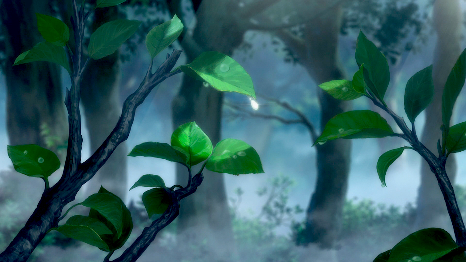 A high-definition anime wallpaper from Darling in the FranXX featuring raindrops on lush green leaves with a misty forest backdrop, encapsulating the serene beauty of nature.