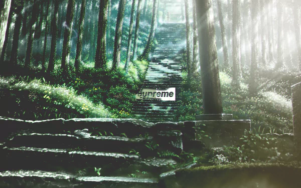 HD desktop wallpaper tagged with Supreme (Brand) featuring serene forest steps bathed in sunlight, with the Supreme logo centered.