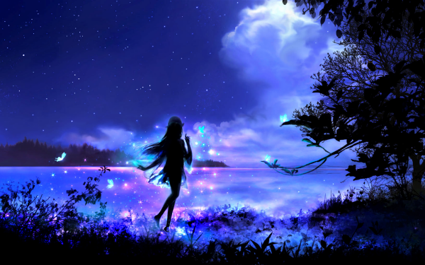 Fantasy Fairy Night Blue Butterfly Silhouette HD Wallpaper | Background Image