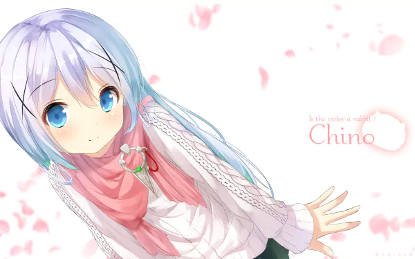 Chino Kafū from the anime Is the Order a Rabbit, depicted with blue eyes and silver hair, surrounded by soft pink cherry blossom petals in this 4K Ultra HD desktop wallpaper.