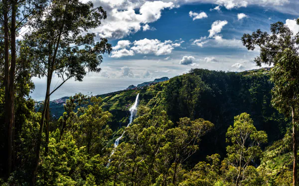 Portugal forest nature waterfall HD Desktop Wallpaper | Background Image