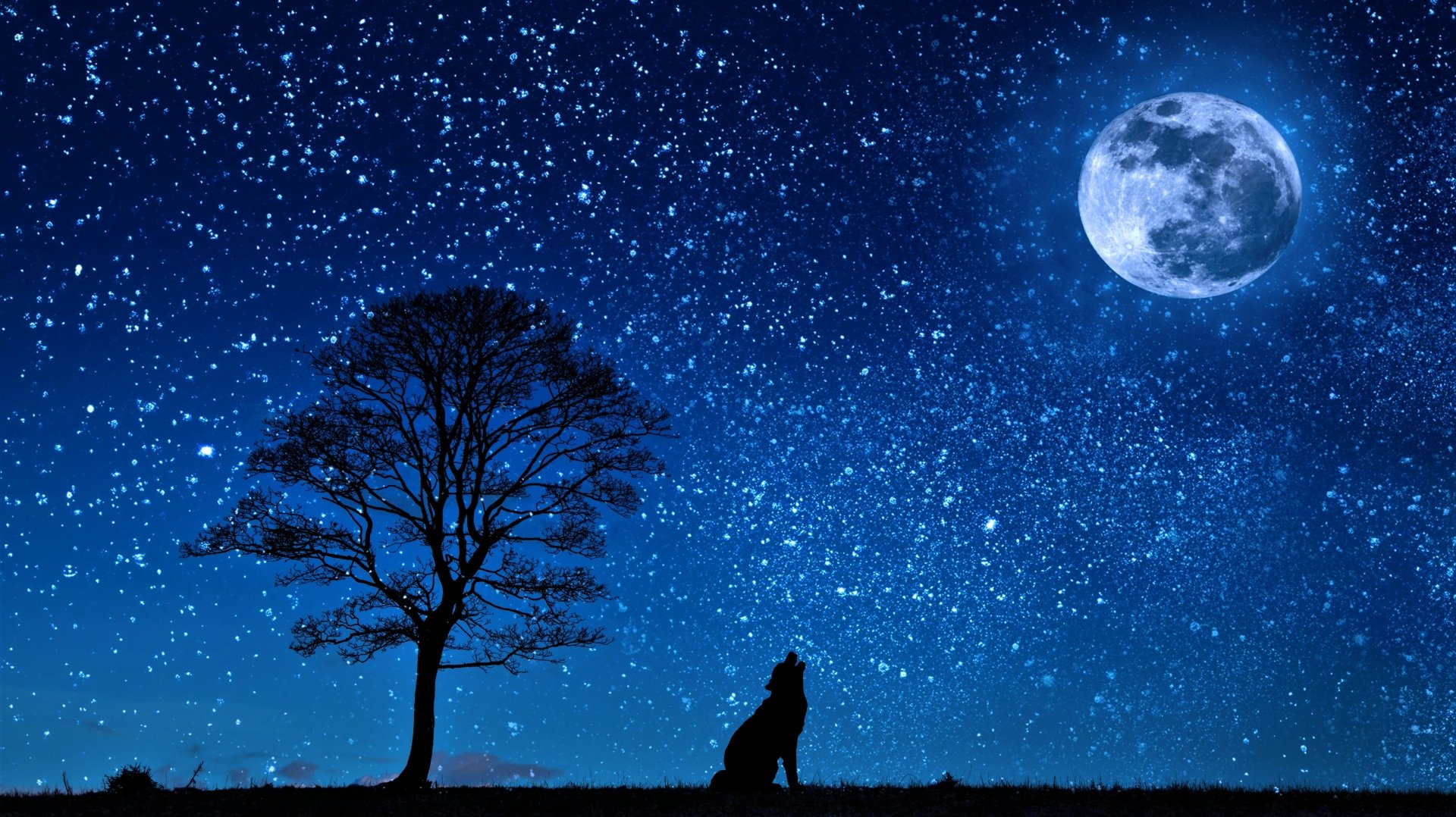 Download Howling Moon Tree Star Starry Sky Night Silhouette Animal Wolf  4k Ultra HD Wallpaper
