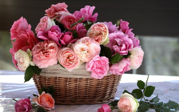 Man Made Flower Basket Rose Peony Pink Flower HD Wallpaper | Background Image