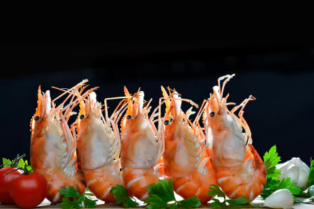 seafood crustacean food shrimp HD Desktop Wallpaper | Background Image