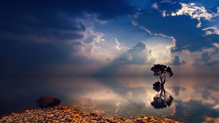 HD desktop wallpaper featuring a solitary tree reflected in a calm ocean at twilight, with sunbeams piercing through dramatic clouds above a rocky shore.