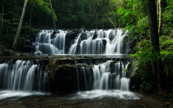 A serene 4K Ultra HD desktop wallpaper of a lush Thailand forest waterfall cascading over rocks surrounded by vibrant green foliage.