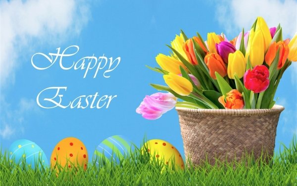 Holiday Easter Happy Easter Basket Easter Egg Colorful Grass Flower Tulip HD Wallpaper | Background Image