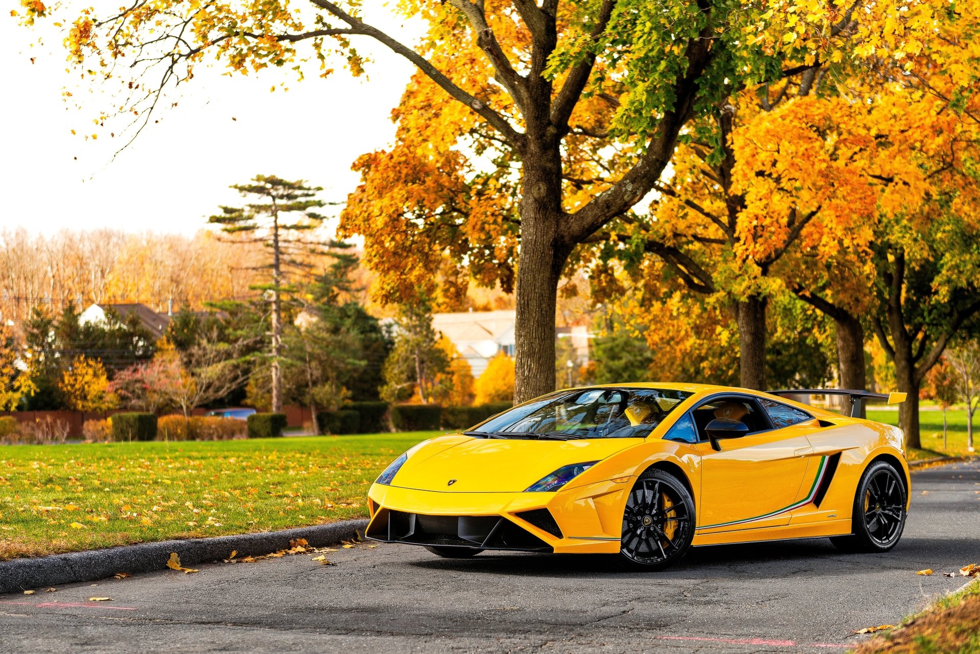 Yellow Lamborghini Gallardo supercar parked on a suburban street under autumn trees, captured in stunning 4K Ultra HD desktop wallpaper quality.