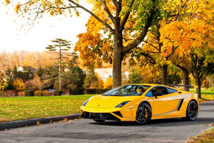 Yellow Lamborghini Gallardo supercar parked on a suburban street under autumn trees, captured in stunning 4K Ultra HD desktop wallpaper quality.