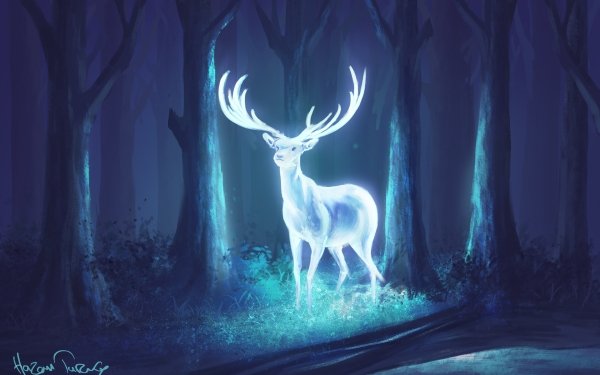 Fantasy Deer Fantasy Animals Night Forest HD Wallpaper | Background Image