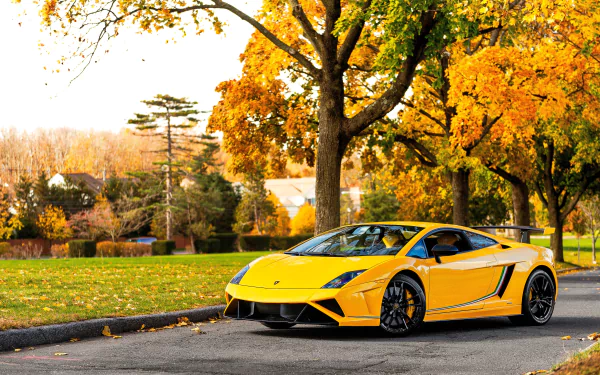 Yellow Lamborghini Gallardo supercar parked on a suburban street under autumn trees, captured in stunning 4K Ultra HD desktop wallpaper quality.