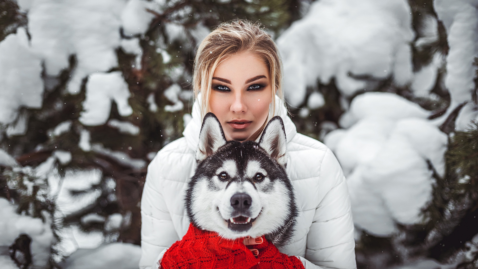 Фото С Хасками Зимой