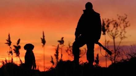 dog silhouette movie The Hunters (1996) HD Desktop Wallpaper | Background Image