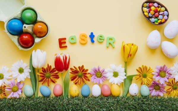 Holiday Easter Easter Egg Flower Candy Still Life Colors Tulip HD Wallpaper | Background Image
