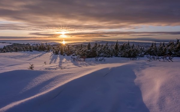 Earth Winter Nature Landscape Sunset Horizon HD Wallpaper | Background Image