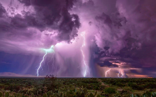 HD desert night wallpaper showing dramatic lightning strikes illuminating stormy clouds over a horizon dotted with cacti.