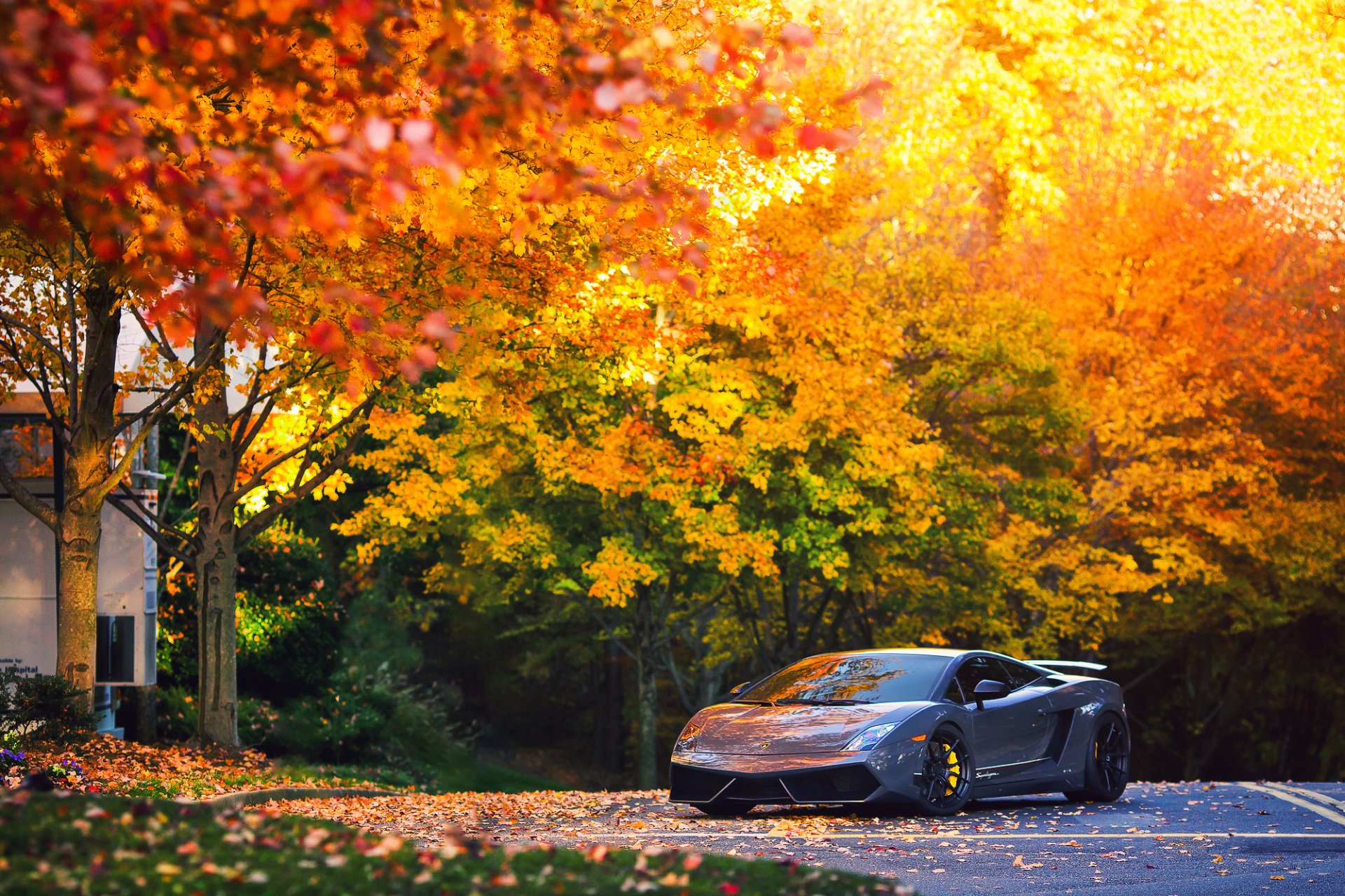 A sleek Lamborghini Gallardo parked on a road surrounded by vibrant fall foliage in an HD PC desktop wallpaper scene.