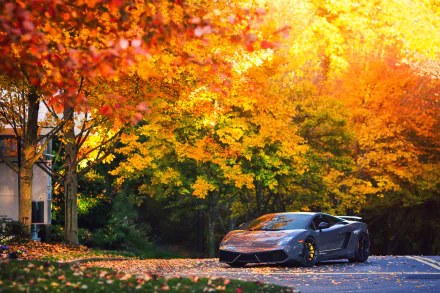 A sleek Lamborghini Gallardo parked on a road surrounded by vibrant fall foliage in an HD PC desktop wallpaper scene.
