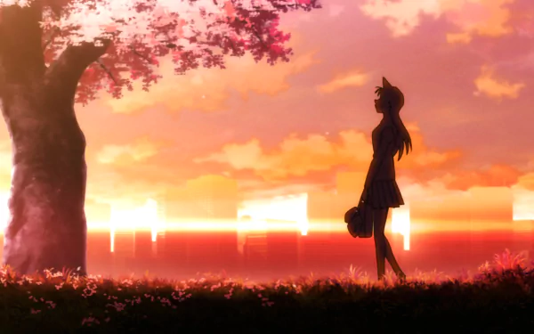 HD PC desktop wallpaper featuring Ran Mouri from the anime Detective Conan standing beneath a tree at sunset with a vibrant orange and pink sky.
