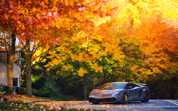 A sleek Lamborghini Gallardo parked on a road surrounded by vibrant fall foliage in an HD PC desktop wallpaper scene.