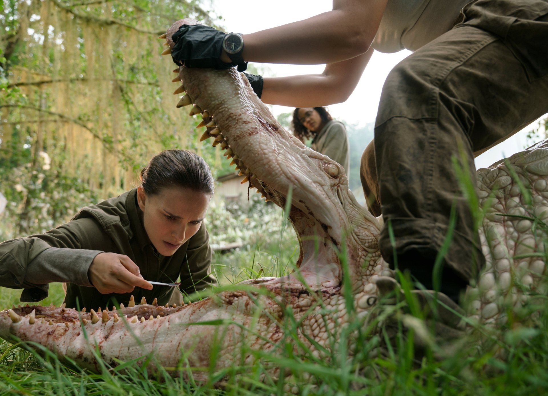 Annihilation movie scene: a woman crouches, intently examining the gaping jaw of a large creature held open by others; 5K Ultra HD PC desktop wallpaper.