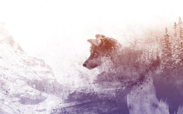 Animal Artistic Wolf Mountain Winter HD Wallpaper | Background Image