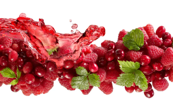 raspberry cranberry fruit food berry HD Desktop Wallpaper | Background Image