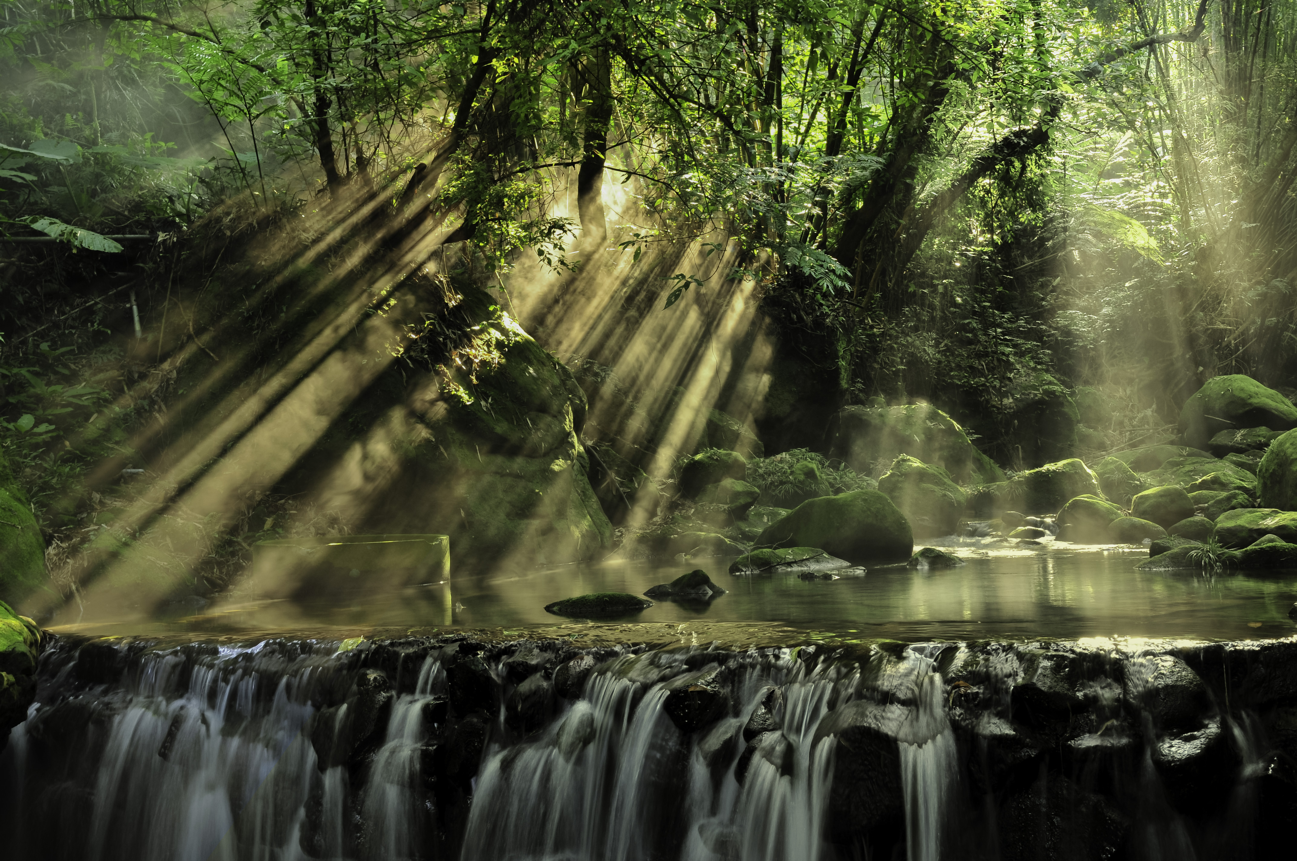 Nature Sunbeam K Ultra Hd Wallpaper