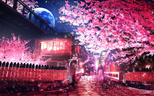 Anime Original Night Moon Sakura Cherry Blossom Spring HD Wallpaper | Background Image