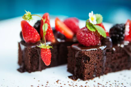 fruit berry pastry dessert food brownie HD Desktop Wallpaper | Background Image