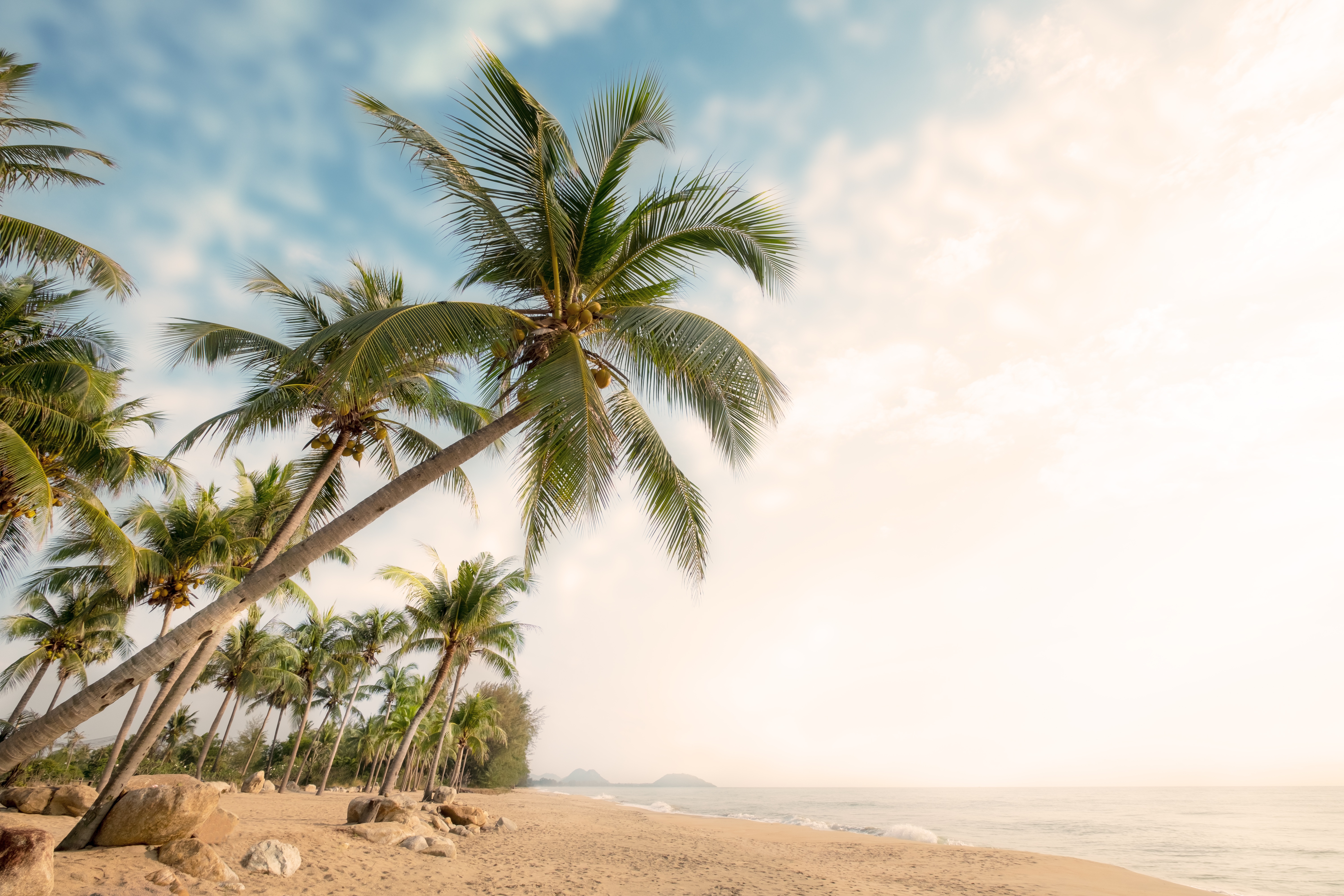 Download Tropical Horizon Nature Beach 4k Ultra HD Wallpaper