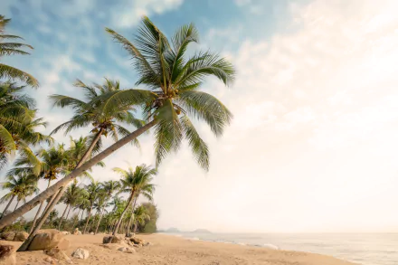 tropical horizon nature beach tropical beach HD Desktop Wallpaper | Background Image