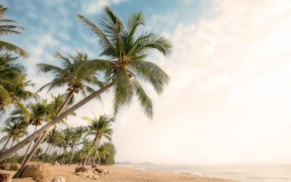 tropical horizon nature beach tropical beach HD Desktop Wallpaper | Background Image
