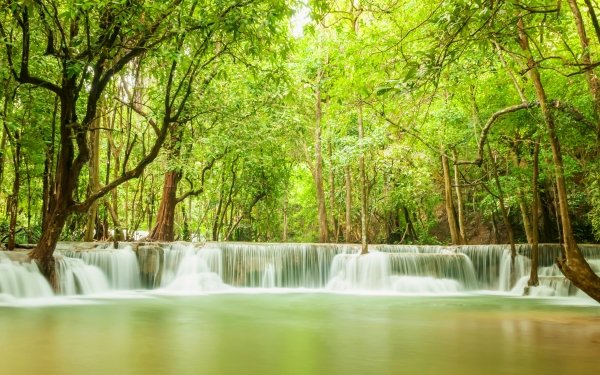 Earth Waterfall Waterfalls Nature Tree Greenery HD Wallpaper | Background Image