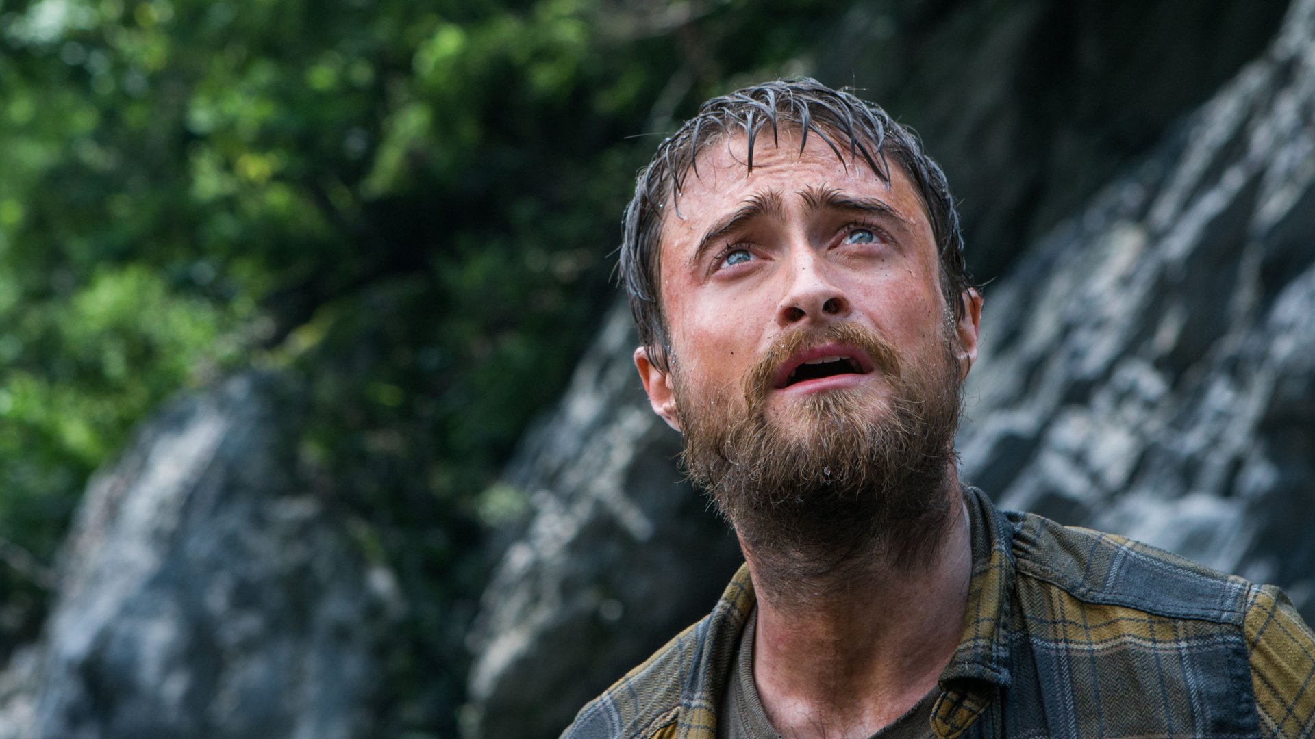 Download Daniel Radcliffe Movie Jungle HD Wallpaper