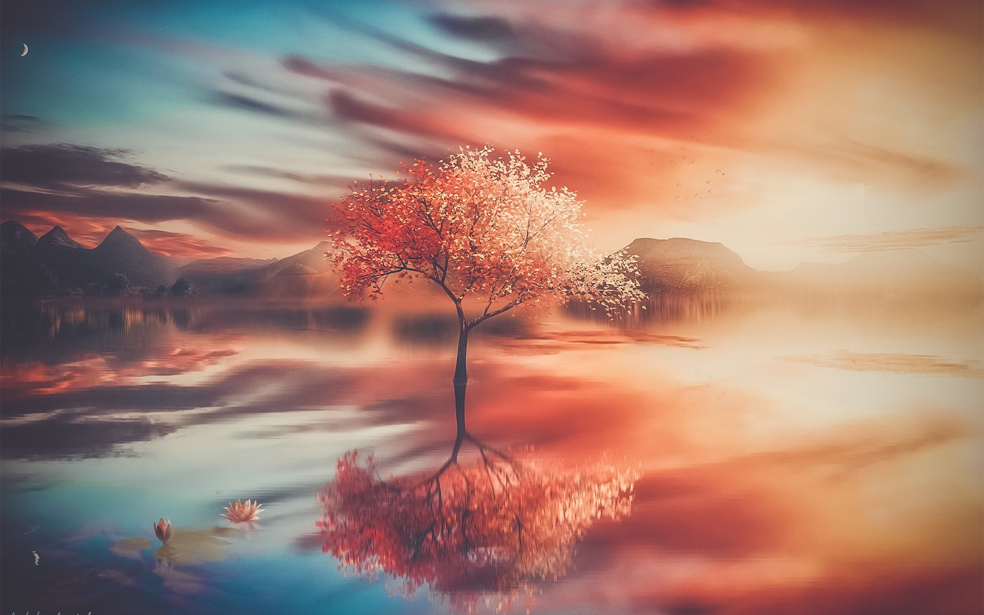 HD PC desktop wallpaper featuring a solitary tree with colorful blossoms reflected in calm water, set against a vibrant, nature-inspired sky.