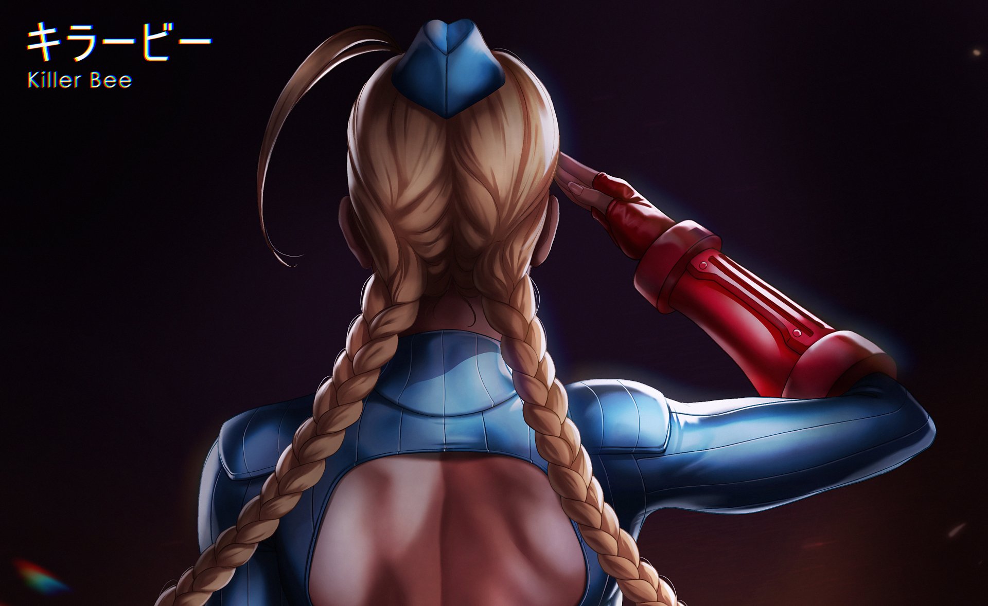 Download Rear Hat Braid (Video Game) Military Blonde Long Hair Cammy (Street  Fighter) Video Game Street Fighter HD Wallpaper by dandonfuga