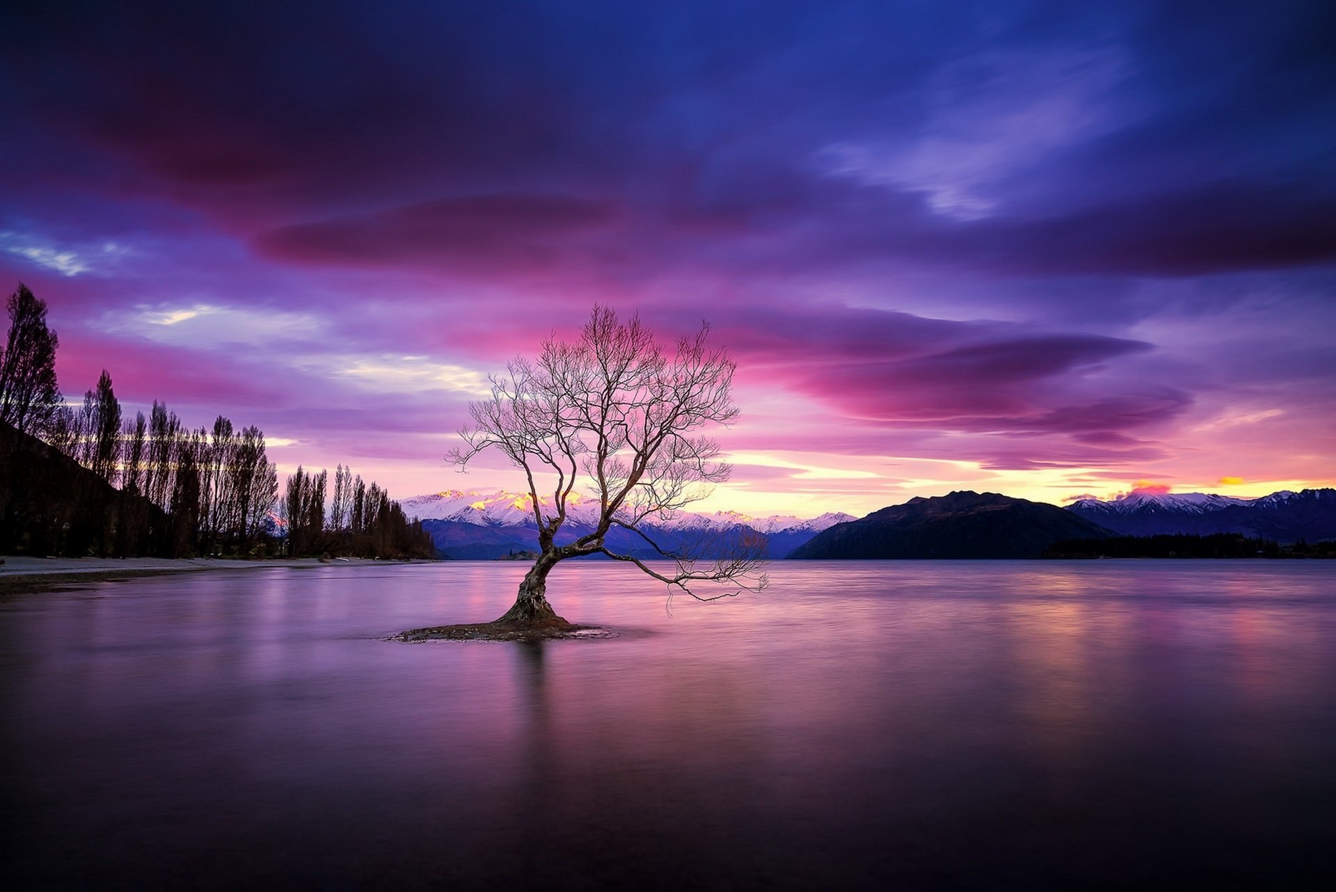 HD desktop wallpaper showcasing a serene lake at sunset with a solitary tree standing in the water under a vibrant purple and orange sky.