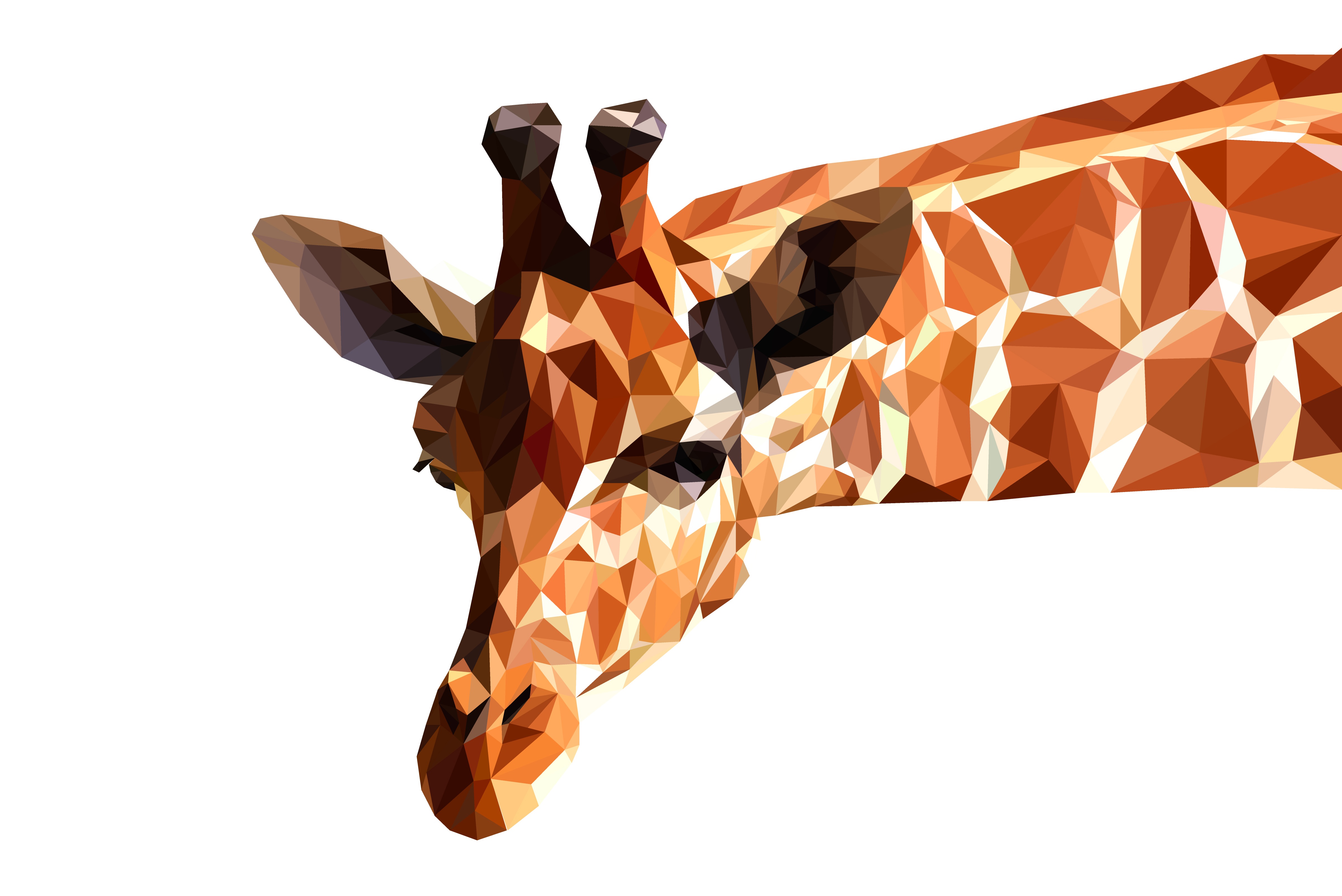 Giraffe Wallpaper by Manuchi