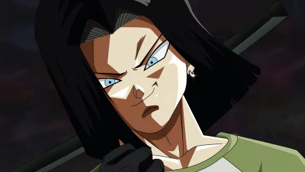  Dragon Ball Super - Android 17