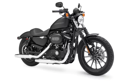  Harley-Davidson XL883N Sportster Iron 883 2011
