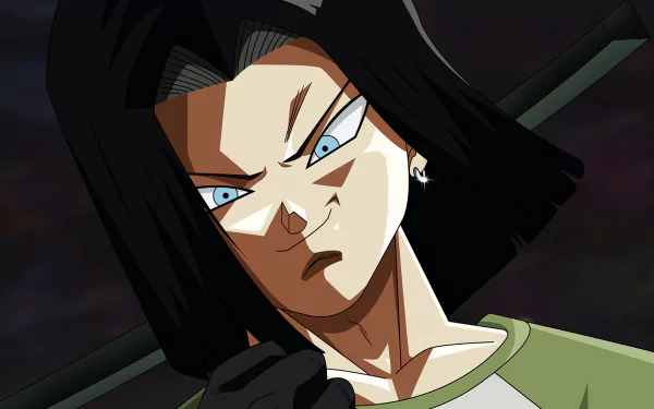  Dragon Ball Super - Android 17