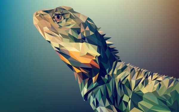 Abstract Facets Low Poly Polygon Lizard Reptile HD Wallpaper | Background Image