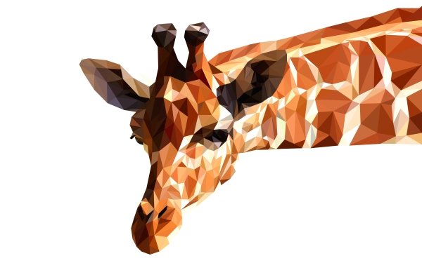 Abstract Facets Giraffe Low Poly Polygon HD Wallpaper | Background Image