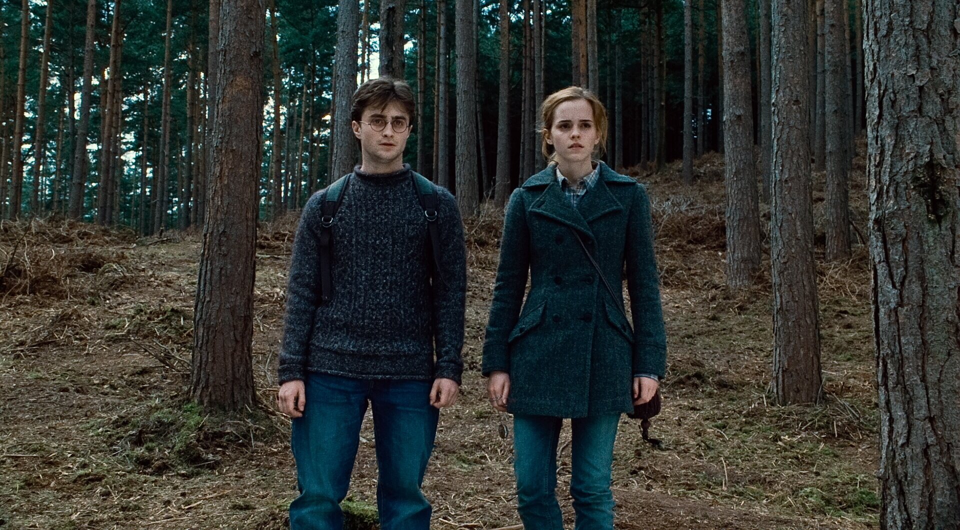 Download Hermione Granger Harry Potter Movie Harry Potter And The Deathly Hallows: Part 1 Wallpaper