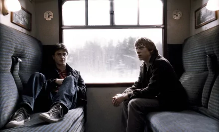 Ron Weasley Harry Potter movie Harry Potter and the Half-Blood Prince HD Desktop Wallpaper | Background Image